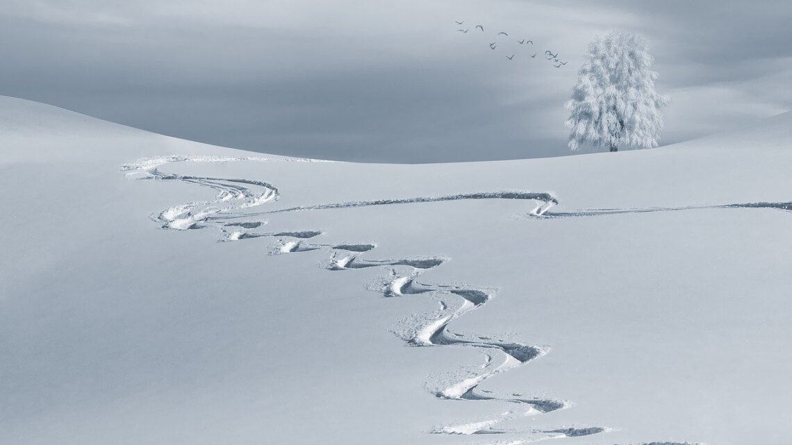 BIĆE DO MINUS 20: Meteorolog najavio – pred nama su ledeni dani, temperature se neće penjati iznad nule