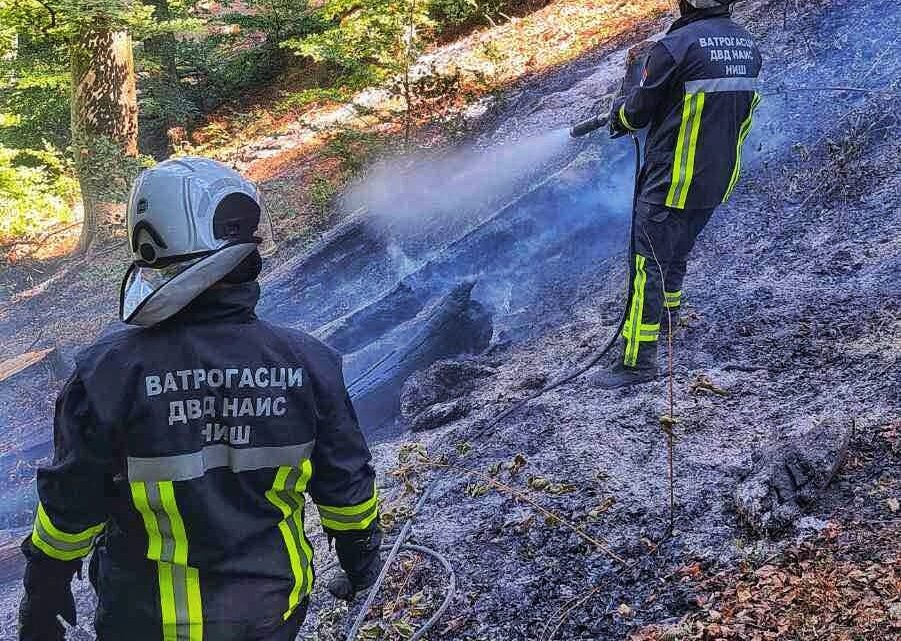 Dobrovoljni vatrogasci iz Niša pridružili se gašenju velikog požara u blizini manastira Prohor Pčinjski